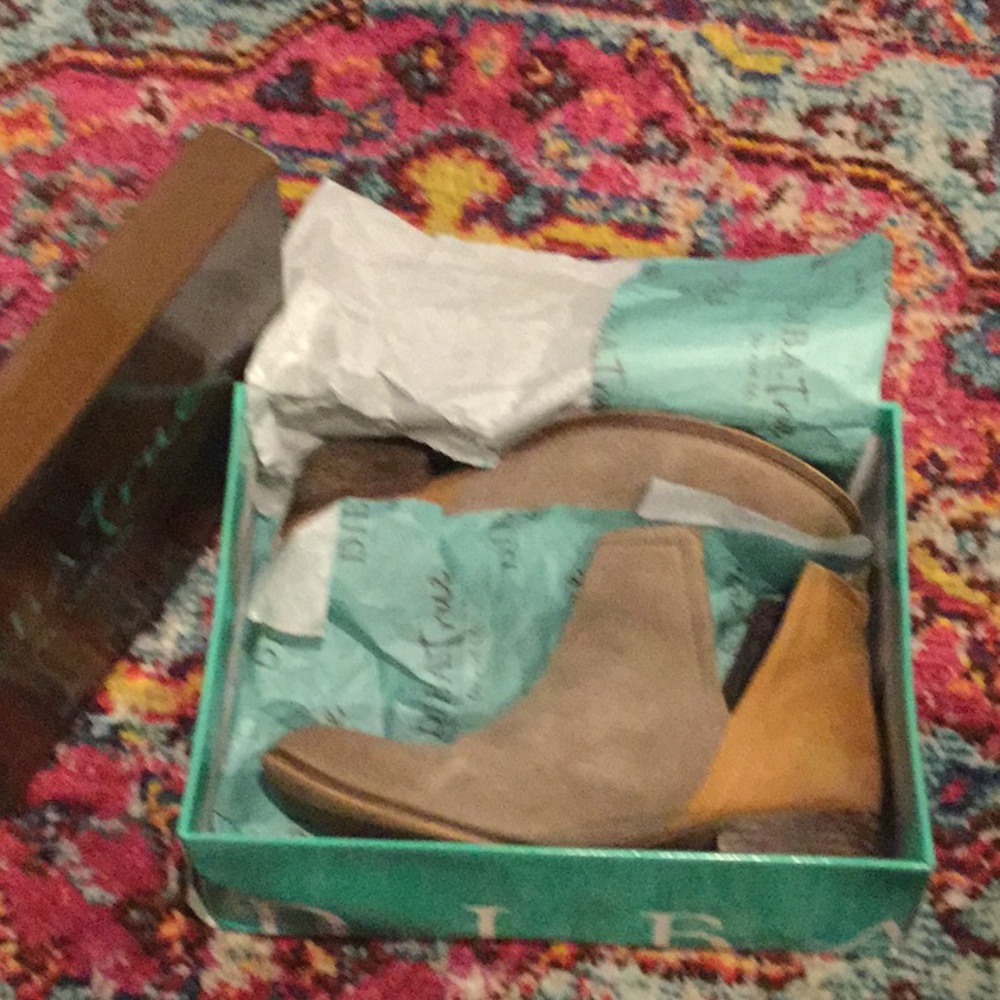 DIBA.True for real life/ stop by bootie